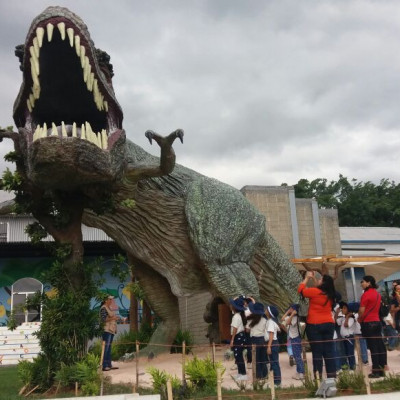 Visita al Museo del Niño (Básica)