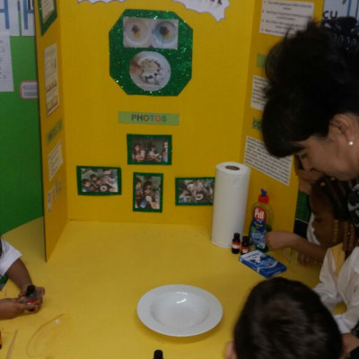 6th Science Fair - Preschool and Elementary